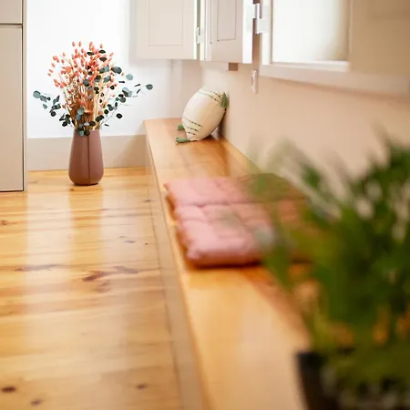 New - Bright In Santa Catarina